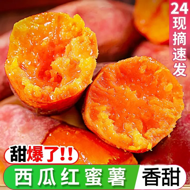 【韦博薯业坏果包赔】正宗沙地西瓜红蜜薯香甜新鲜红薯红心番薯