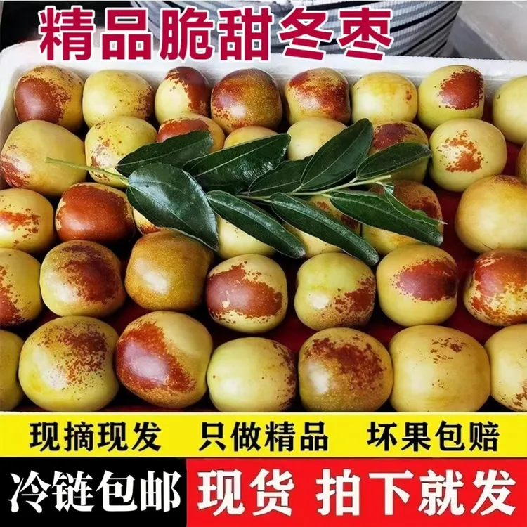 【现货包邮】脆甜沾化冬枣冰糖冬枣爆甜多汁大枣新鲜水果3/5斤