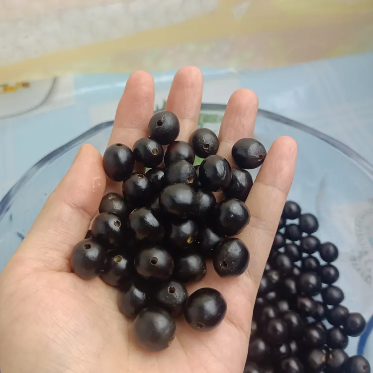 无患子散珠已经打孔可做串做挂件摆件孔道2.0无修无磨非金属木质