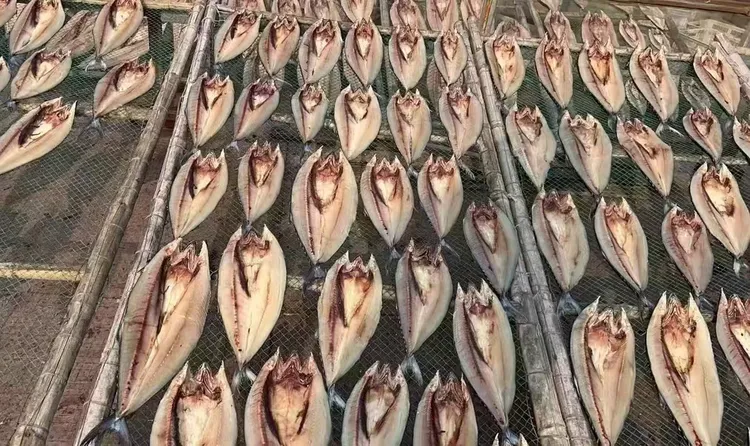 鲜鱼制作 半干马鲛鱼干（鲅鱼干）淡盐半咸4斤