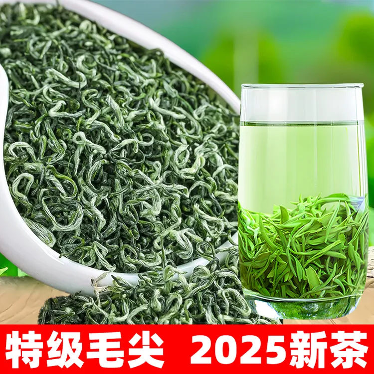正宗贵州毛尖茶特级2025新茶嫩芽高山雨雾绿茶云雾绿茶浓香型
