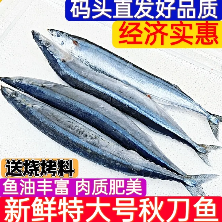 秋刀鱼10斤烤鱼生鲜新鲜冷冻大号海捕深海鱼日式料理烧烤海鲜水产