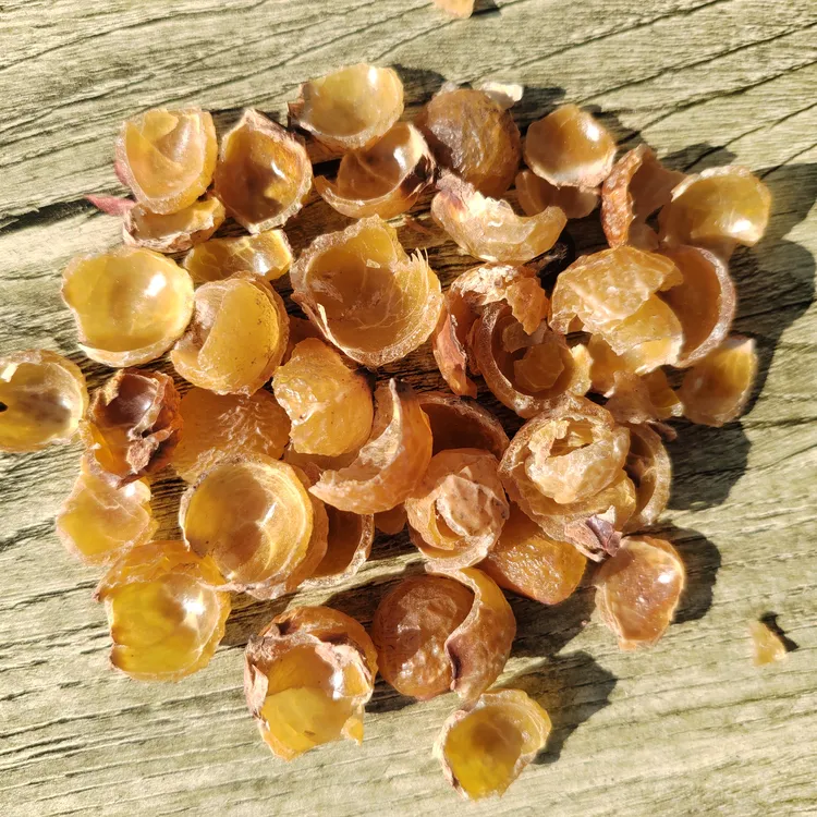 无患子果皮 野生手工去核圆皂角粉油肥皂果实做酵素洗发水