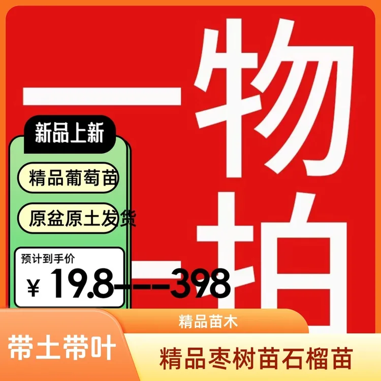 葡萄苗原盆原土果树发货