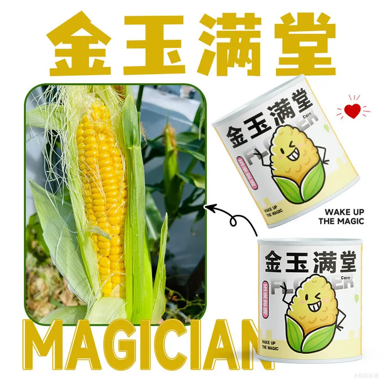 2025头茬水果冰糖田脆玉米新鲜甜玉米水果玉米现摘现发爆汁咔嚓脆
