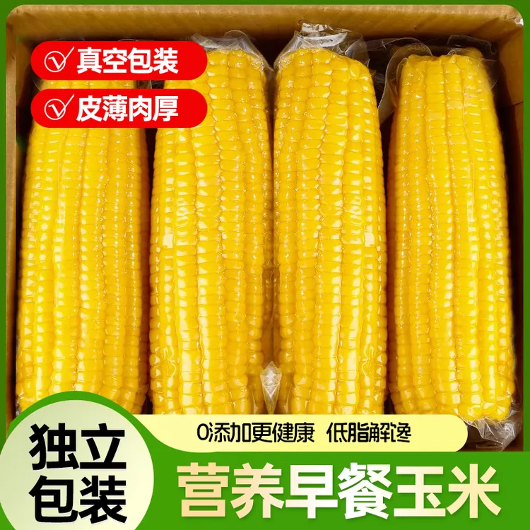 知春寒【新疆直发】有机黄糯玉米真空包装糯玉米黏糯甜玉米代餐早餐