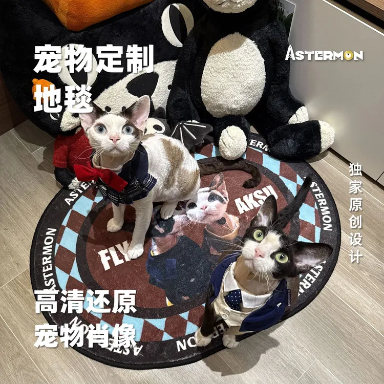 阿斯卡椭圆形地毯客厅宠物照片细沙绒可水洗地垫定制创意纪念礼物