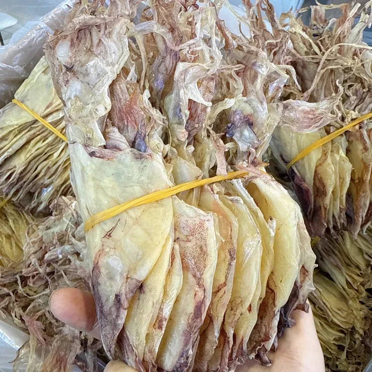 福建本港特产开管小鱿鱼