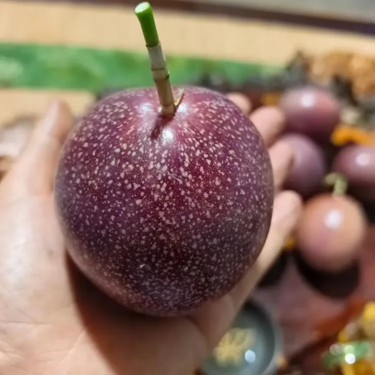 云南新鲜当季蜜桃味百香果九分甜一分酸香甜多汁孕妇新鲜水果现摘