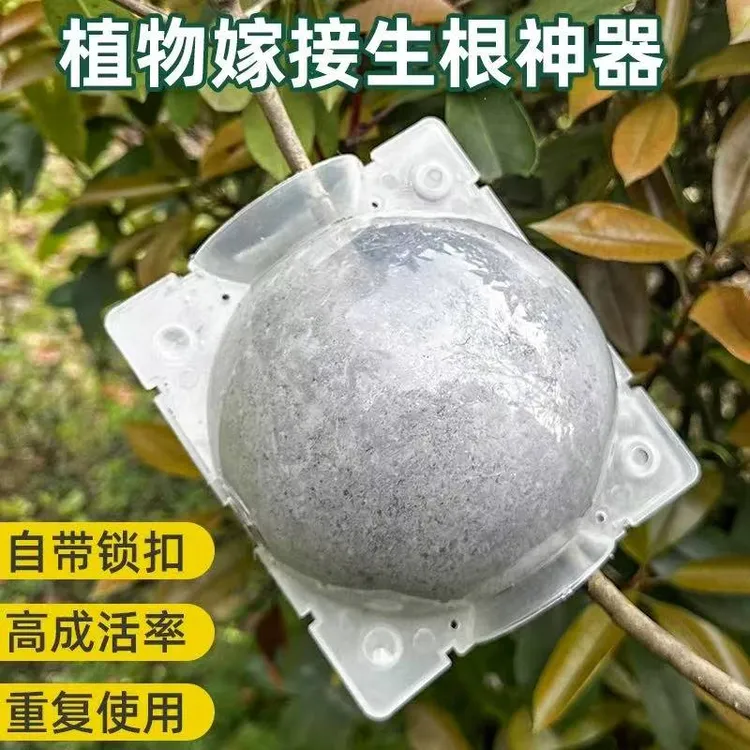 嫁接专用高压盒园艺扦插压条植物盒繁殖高压生根盒果树pp材质花盆