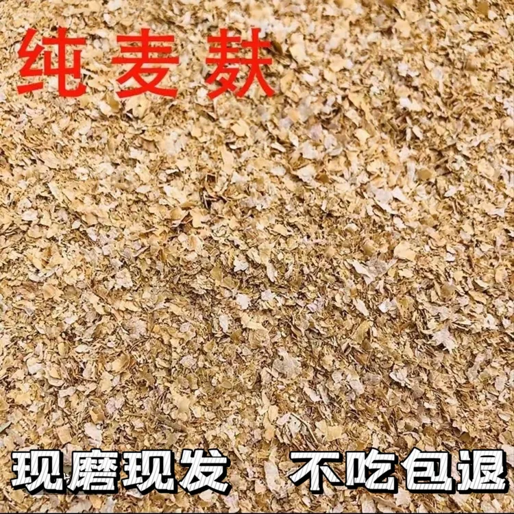 新鲜小麦麸皮鸡鸭鹅优质饲料面包虫用料钓鱼打窝用料纯正麦麸皮