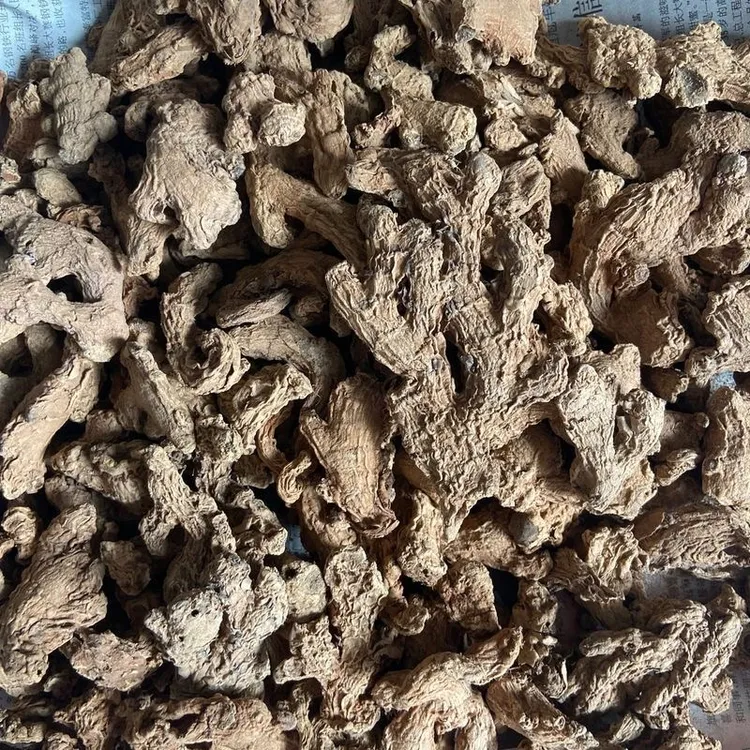 【百日姜】潮州午日正午瓦晒百日姜适合时节享用