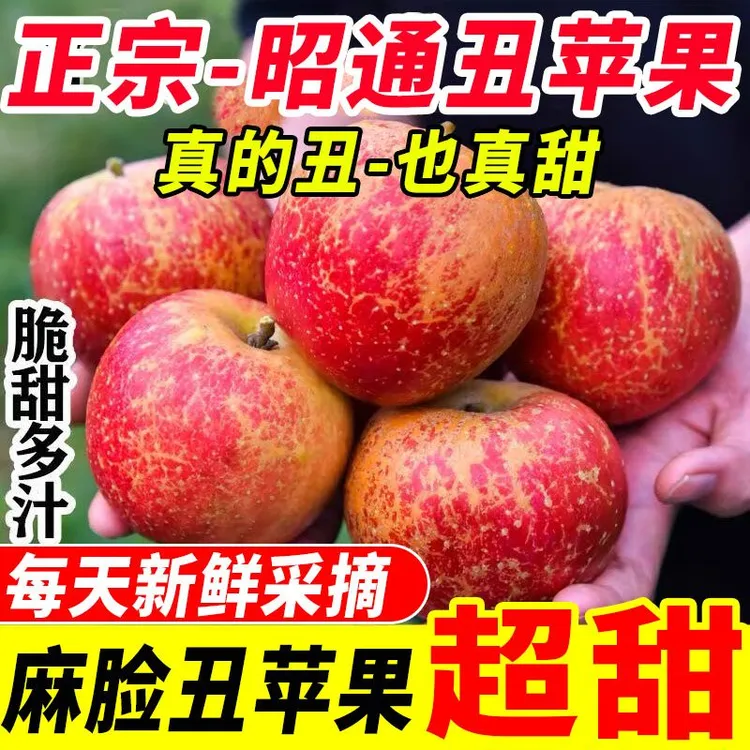 【正宗、昭通丑苹果】11云南昭通糖心丑苹果现摘现发