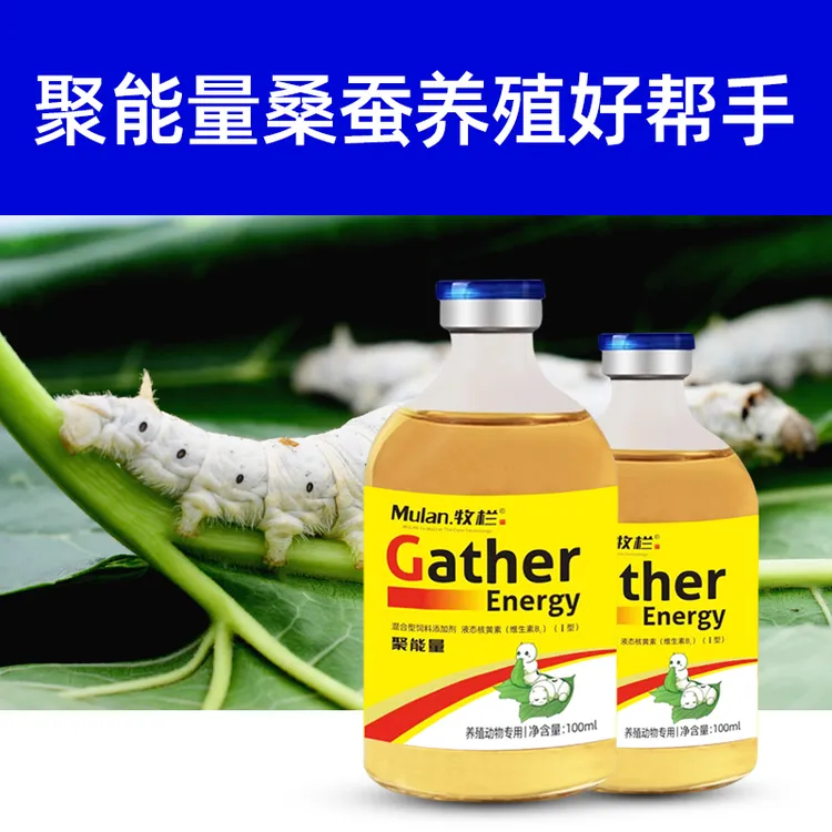 桑蚕养殖用补充维生素聚能量提高成活调理肠胃补充维生素蚕养殖用