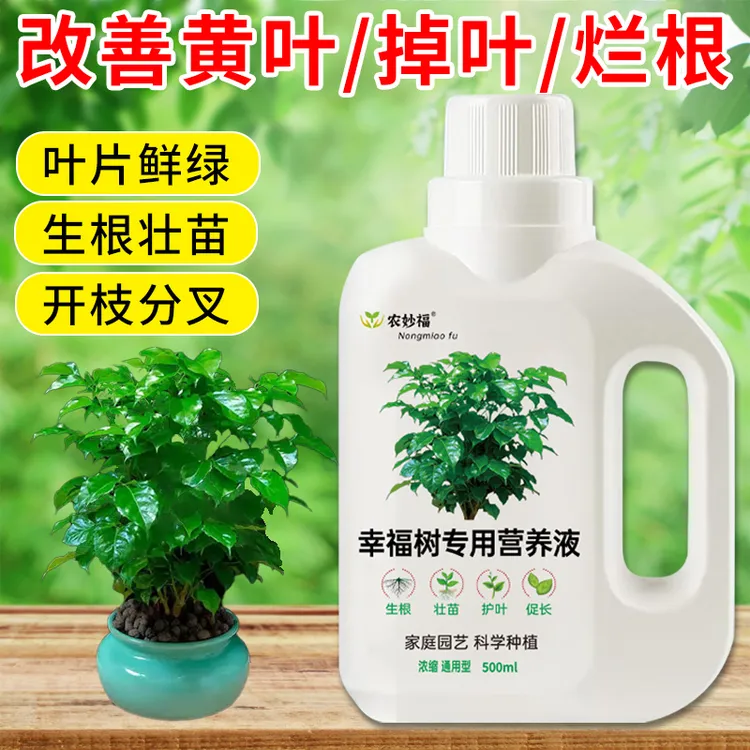 幸福树营养液养花通用型富贵竹发财树盆栽水培浓缩营养液水肥花肥