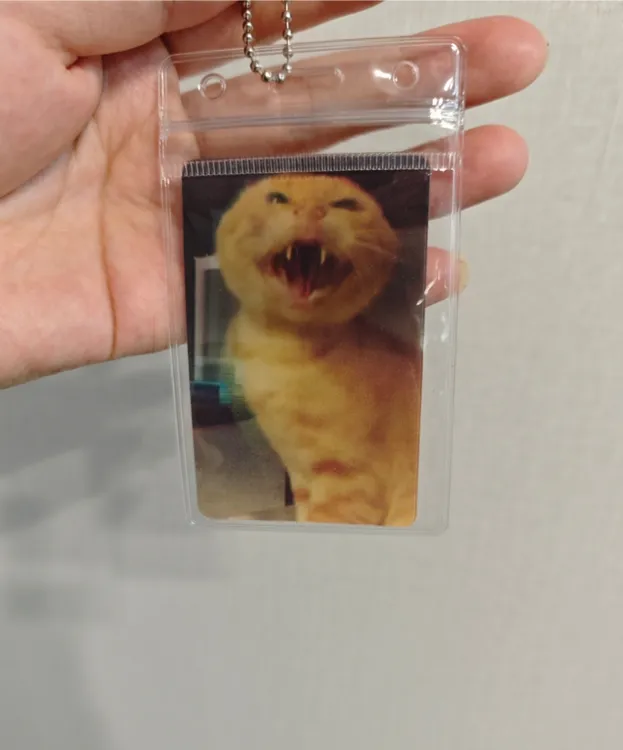 【现货】圆头耄耋光栅卡3d可爱哈基米小猫爱猫tv抽象礼物鬼畜挂件