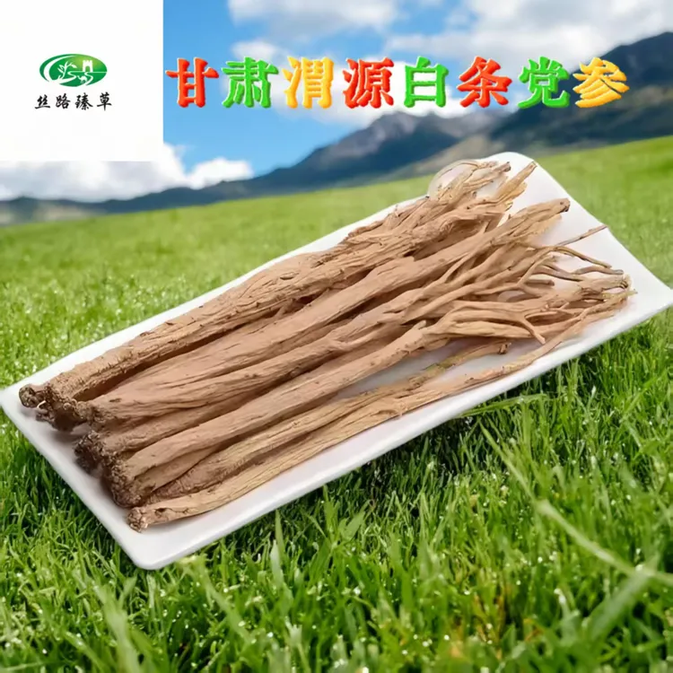 渭源精选白条党参滋补养生 可切片泡水煲汤