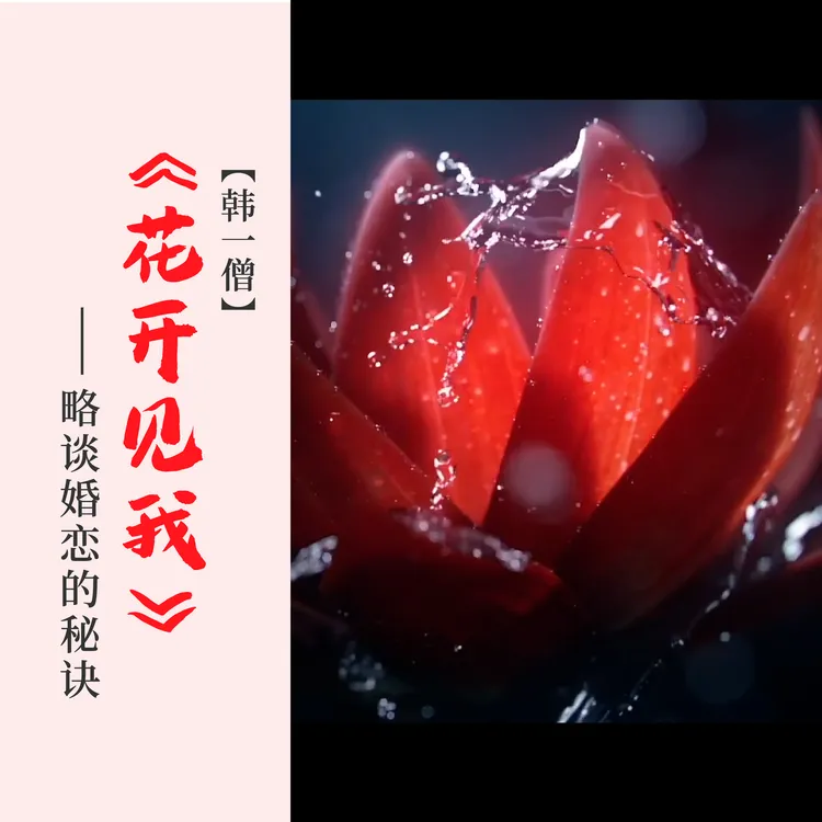 《花开见我》略谈婚恋的秘诀