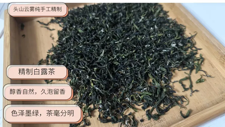 头山云雾白露纯手工精制    2025当季秋茶 
