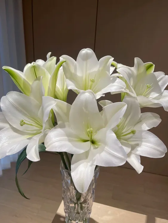 白色单头铁炮百合鲜切花 云南鲜花基地直发包邮