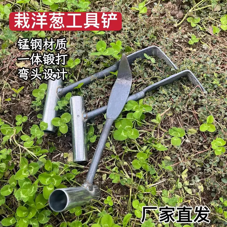 栽苗洋葱栽苗器栽洋葱苗工具种洋葱小铲子栽洋葱苗工具