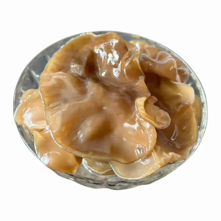 【2025】新店优选椴树黄木耳软软糯糯，特产正宗中秋送礼椴木椴木耳