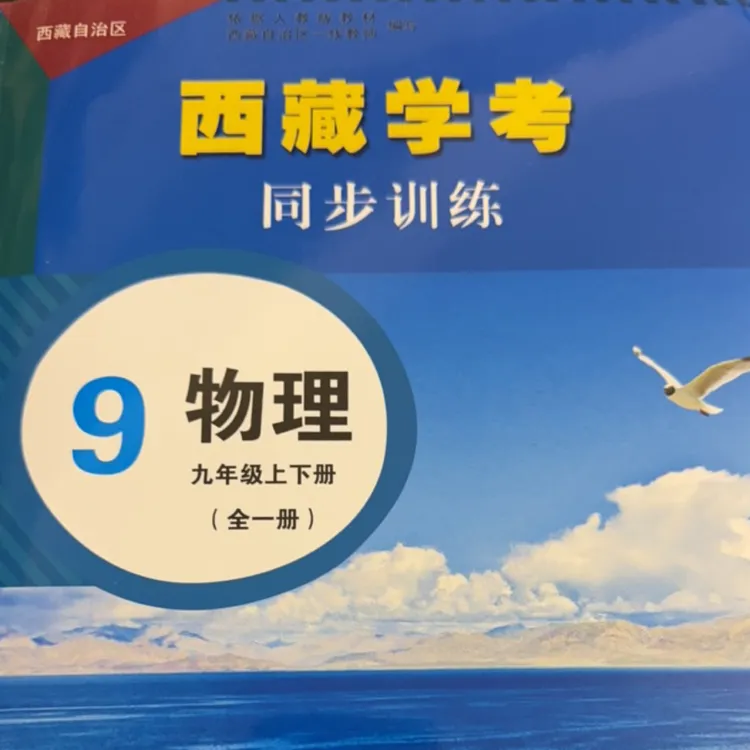 西藏学考. 同步训练. 物理九年级：全一册