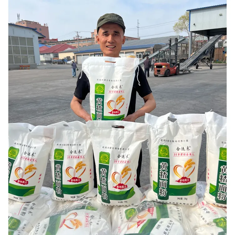 【大勇专属】东北黄茬小麦面粉10斤面香劲道活动价