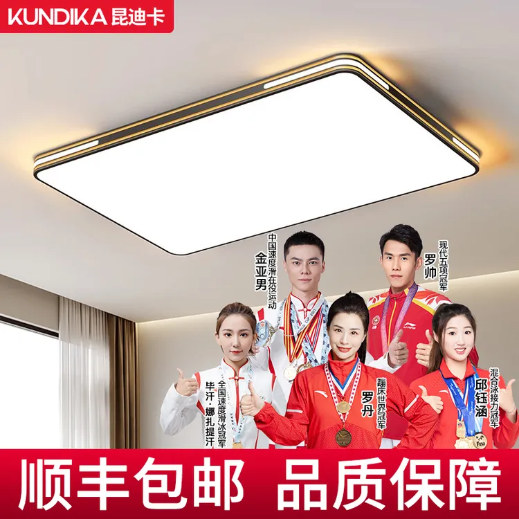 【热销款】led客厅灯全屋灯具家用长方形大厅灯简约圆形卧室吸顶灯