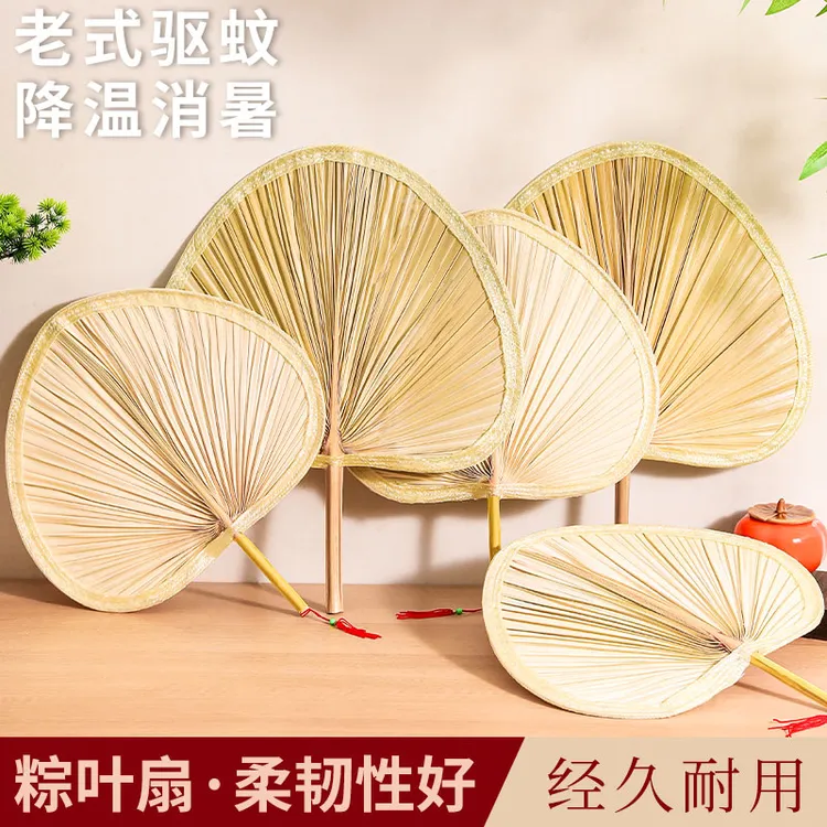 扇子大蒲扇芭蕉扇济公扇葵扇老人老式蒲草手工编制耐用棕叶烧烤扇