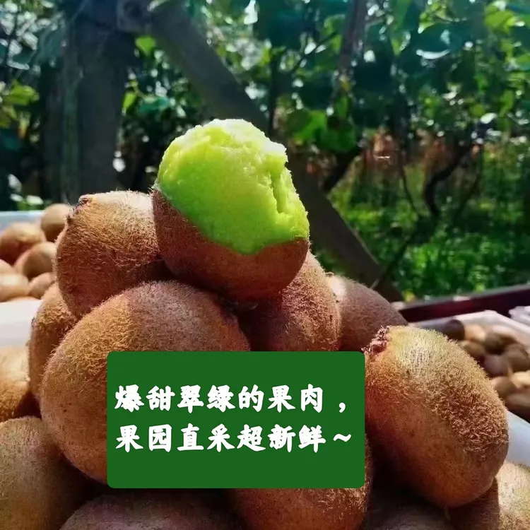 陕西徐香绿心猕猴桃新鲜水果香甜多汁软糯产地直发