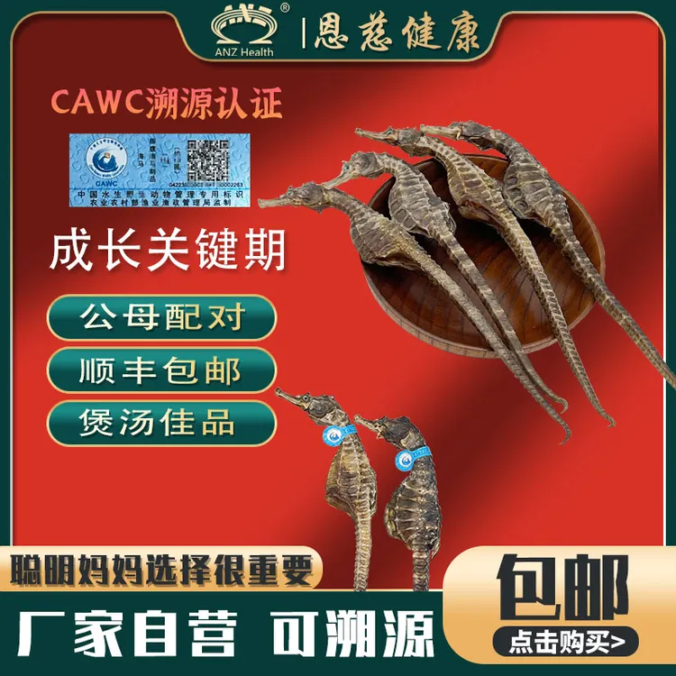 【恩慈优选】海干货马馬足干生晒泡酒煲汤料茶 公母搭配 儿童高高汤