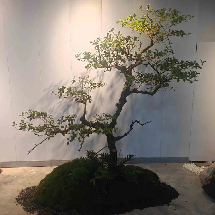 厂家直销精品海岛春花仿真绿植室内装饰造景落地摆件简约植物中式