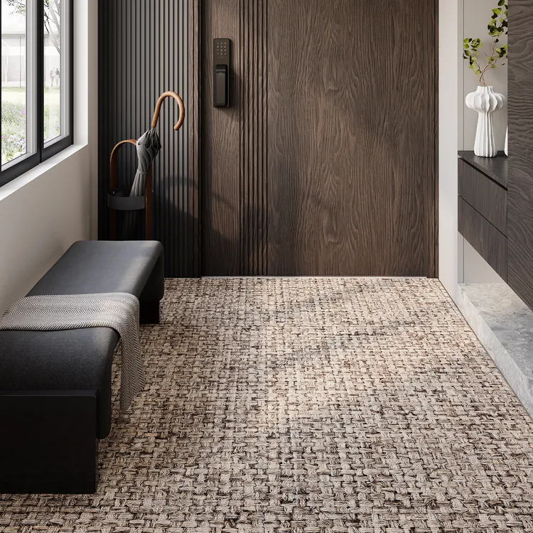 忘忧虫轻奢入户门垫免洗耐脏防滑家用玄关脚垫高级感定制进门地毯