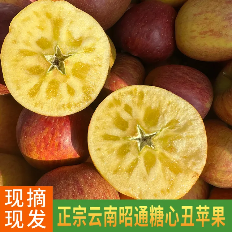 云南昭通晚熟丑苹果现摘糖心苹果新鲜脆甜多汁3-5-10斤包邮