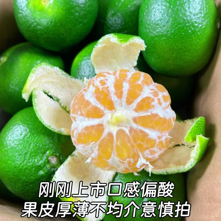 【顺丰直达】无籽青皮蜜桔现摘现发酸甜开胃无籽化渣无籽青皮桔橘子
