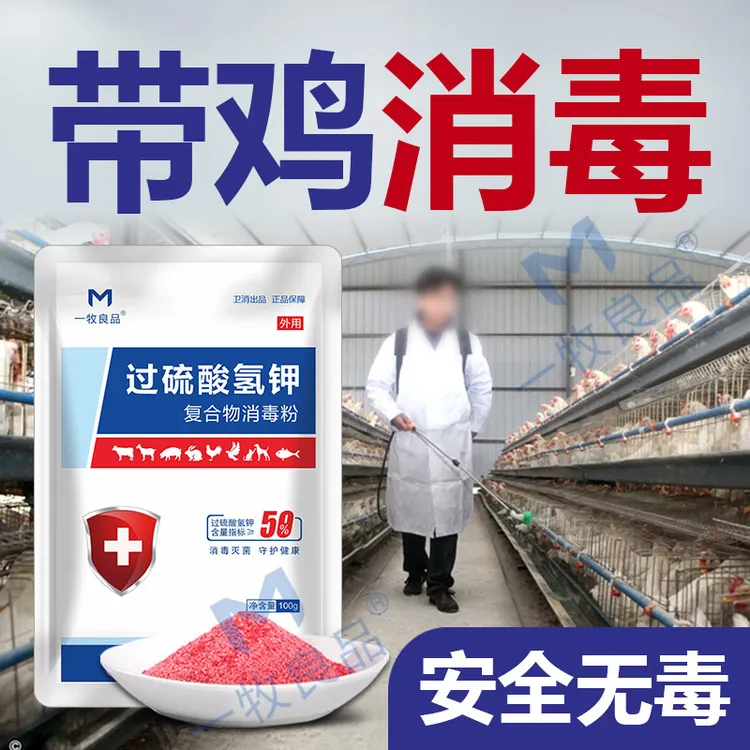 鸡圈消毒液养殖场专用过硫酸氢钾消毒粉鸡舍专用消毒液鸡鸭鹅消毒