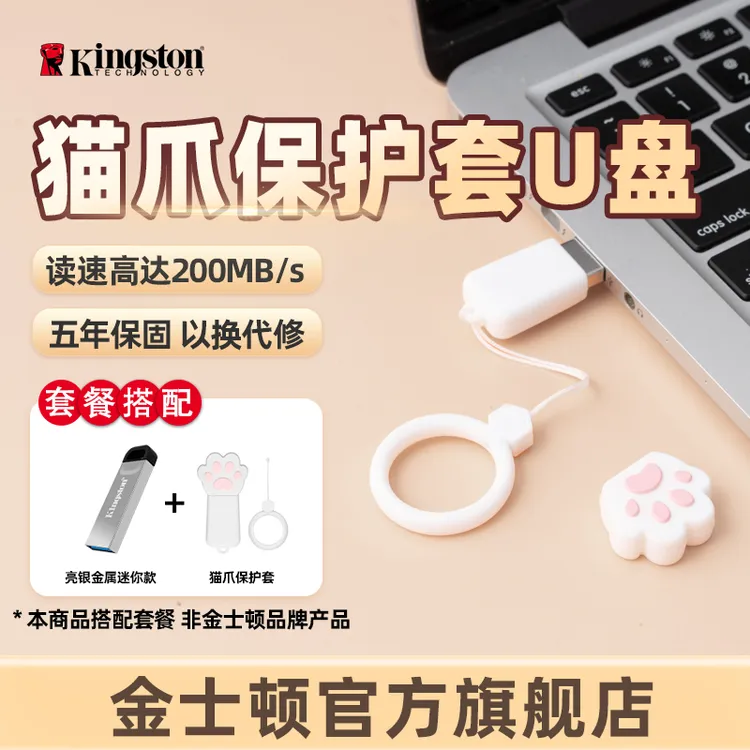 Kingston/金士顿DTKN猫爪保护套金属U盘200MB/s办公专用高速商务