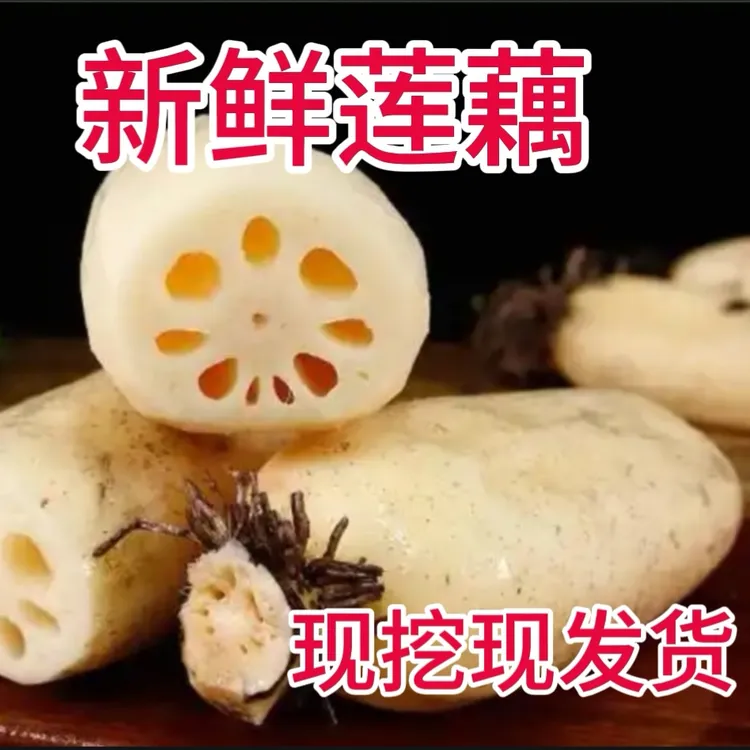 新鲜莲藕带泥发货清炒凉拌炖汤煮火锅包饺子做藕夹藕丸子（4斤装）