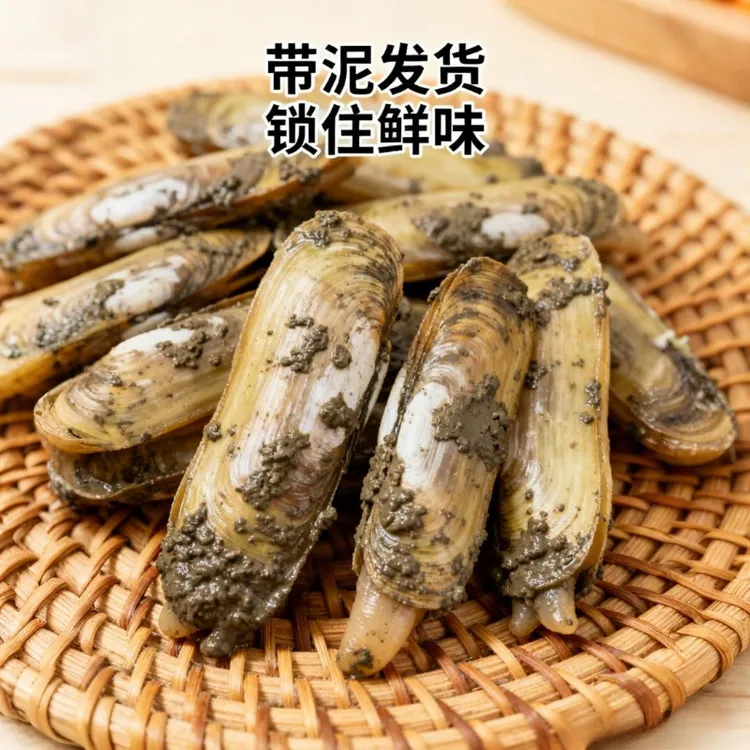 正宗宁德黄蛏蛤蜊鲜活贝类带泥发货中大号干蛏29—35粒/斤京东冷链
