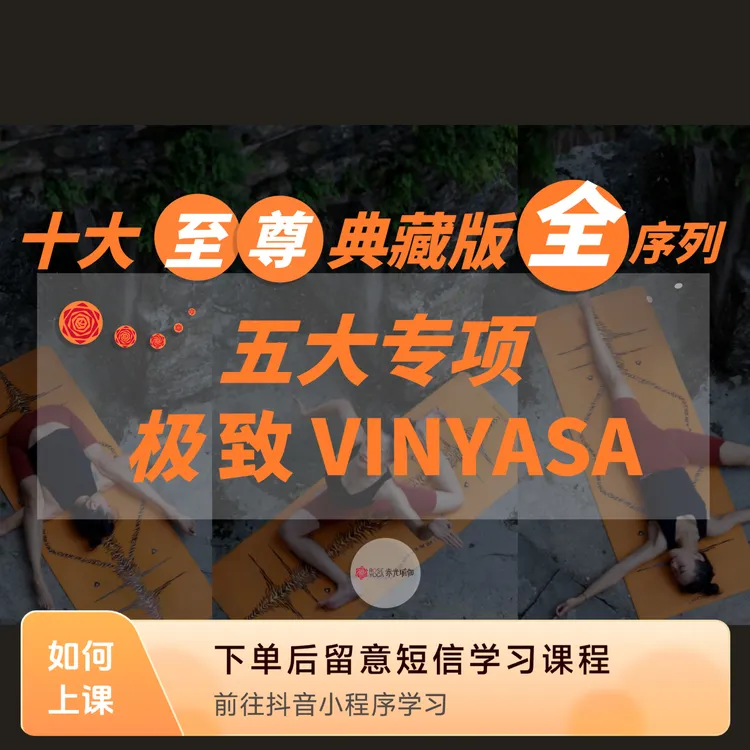 十大至尊典藏版全序列-五大专项VINYASA