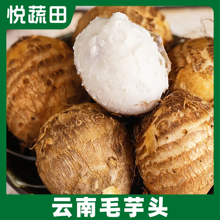 云南新鲜牛奶毛芋头香甜软糯3斤5斤TY