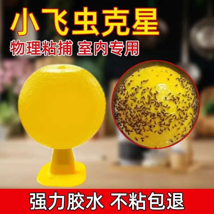 【飞虫克星】果蝇诱捕器小飞虫灭杀神器室内去除蚊虫克星厨房粘虫器