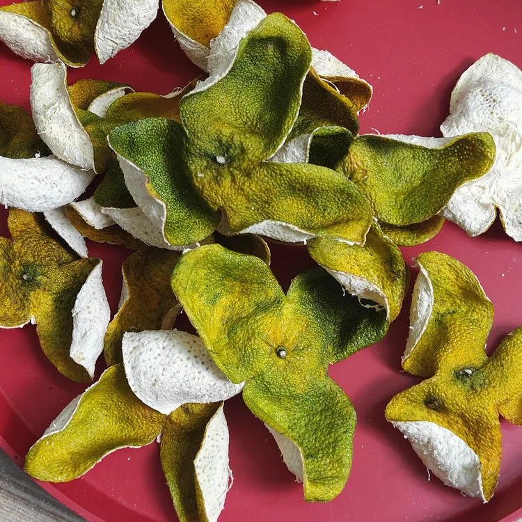 浦北2025年茶枝柑二红皮二红尾新树老树通用链接