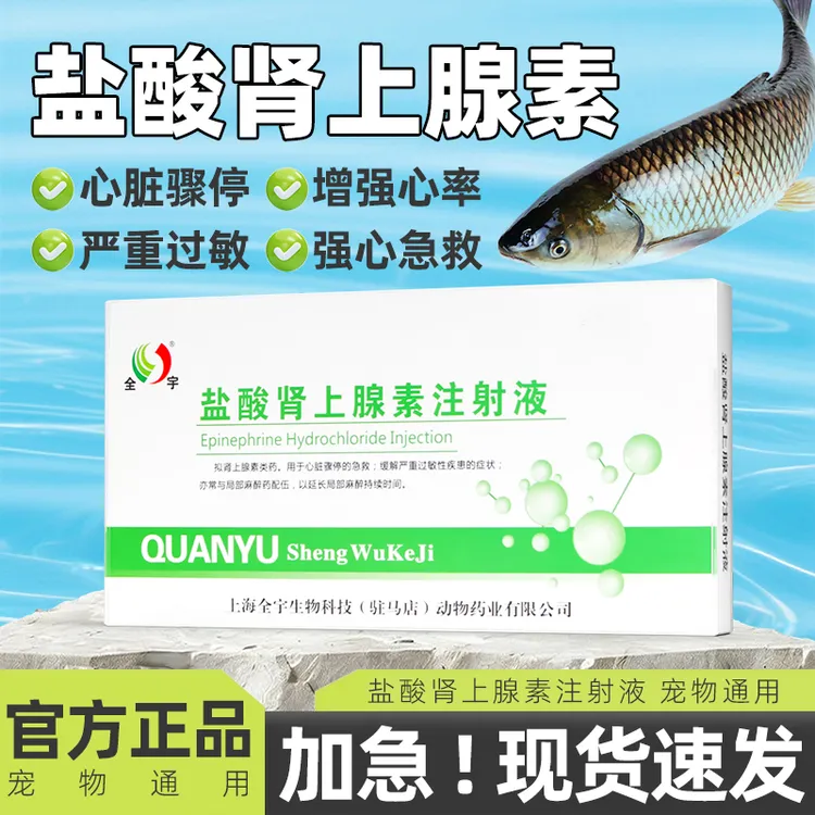 钓鱼用肾上腺素兽用钓鱼盐酸肾上腺素注剂野钓黑坑草鱼卡鲢黑鲈鱼