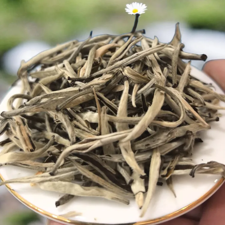 茉莉大茶王芽头粗壮茉莉花香浓郁，耐冲泡