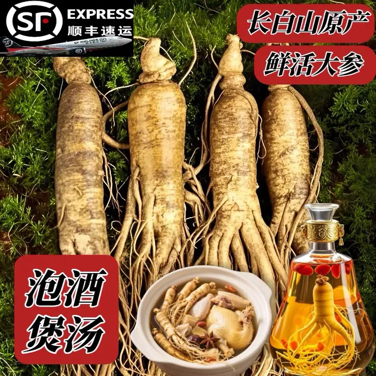 【顺丰包邮】优选长白山新鲜现挖足龄带土产地直发可煮水泡酒炖汤
