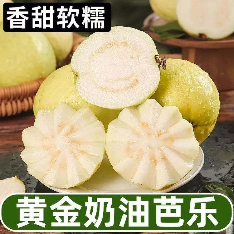 原农荟（顺丰）南沙万顷沙白心奶油芭乐软糯番石榴
