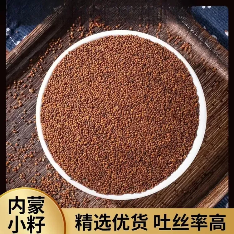 菟丝子正品泡水喝吐丝率高内蒙正品菟丝子搭配枸杞