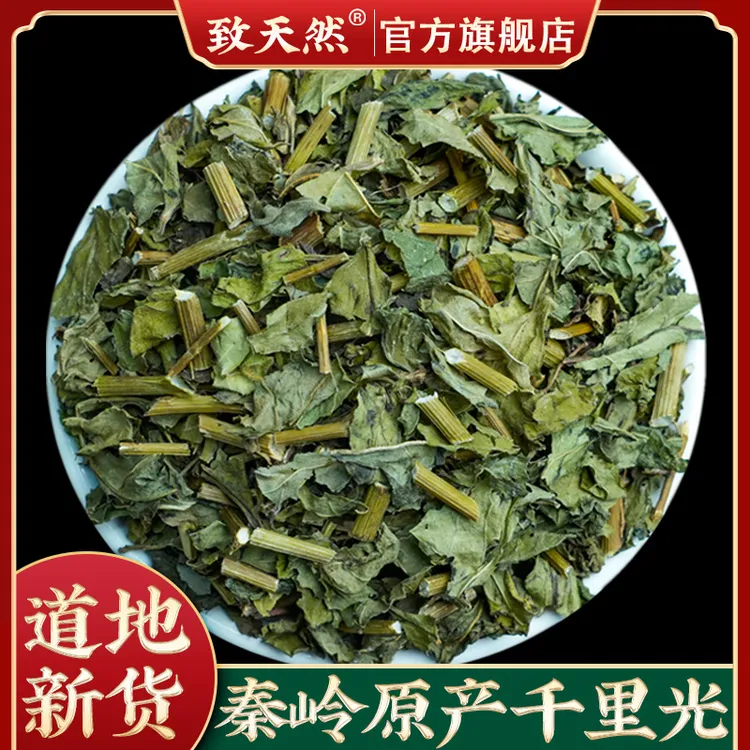 正宗秦岭原产千里光250g500g新货明目草千里光农家自采非鱼腥草